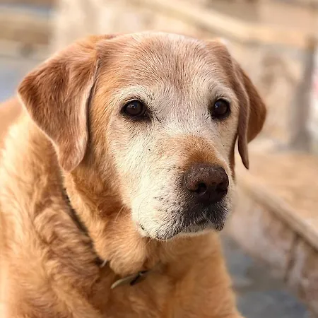 Дом отдыха . Calme *